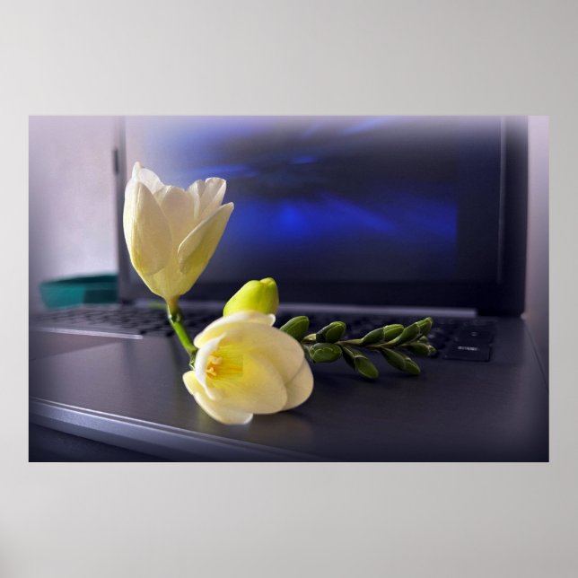 White yellow freesia poster (Front)