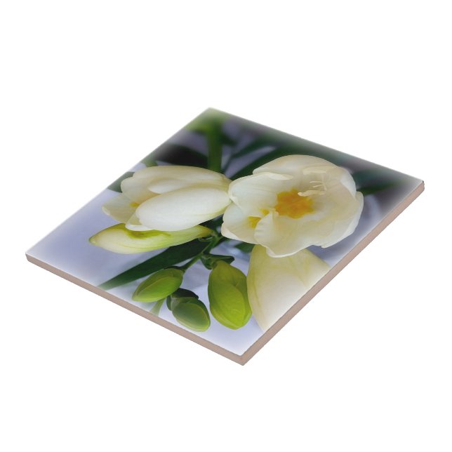 white yellow freesia tile (Side)
