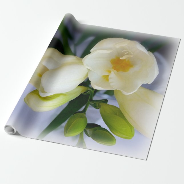 white yellow freesia wrapping paper (Unrolled)