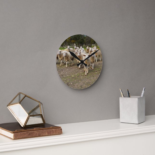 White Young Woolly Sheep, Round Clock (Office)