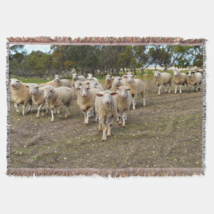 White Young Woolly Sheep, Throw Blanket