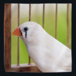 White Zebra Finch Bird in Cage Bandana<br><div class="desc">2023</div>