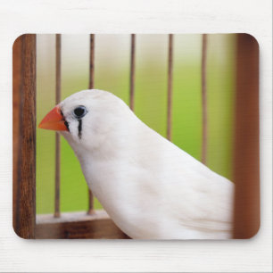 White Zebra Finch Bird in Cage Mouse Pad