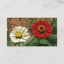 White Zinnia and Red Zinnia Enclosure Card