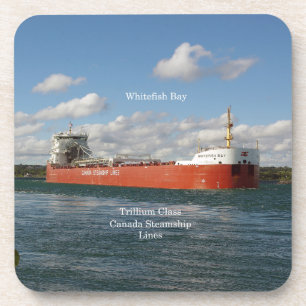 Whitefish Bay set of 6 hard plastic coasters
