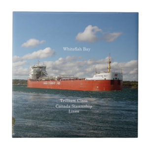 Whitefish Bay tile