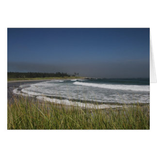 Whitehead Island, NB