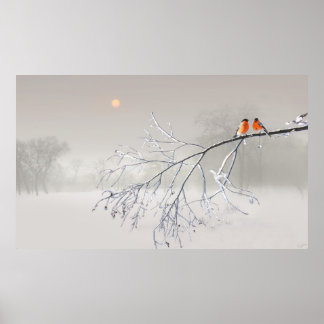 Whiteout Poster