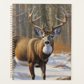 Whitetail