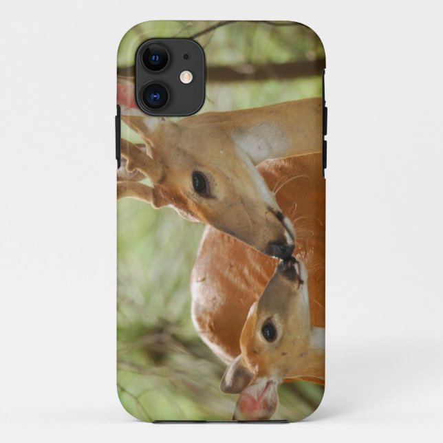 Whitetail Buck And Fawn Bonding Case-Mate iPhone Case (Back)