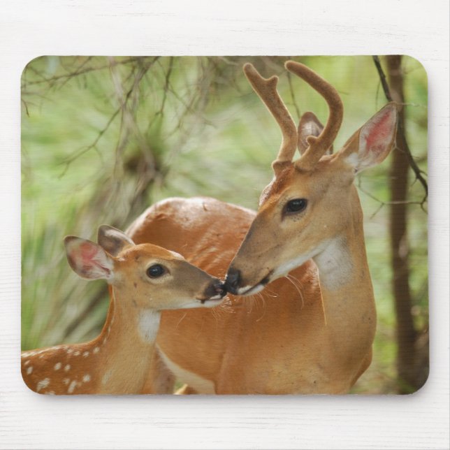 Whitetail Buck And Fawn Bonding Mouse Pad (Front)