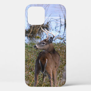 Whitetail Buck iPhone / coque ipad
