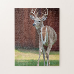 Whitetail Buck portrait, Missoula, Montana Jigsaw Puzzle
