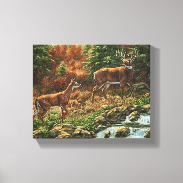 Whitetail Deer and Waterfall Canvas Print (Front)