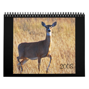 Whitetail Deer at the Dune's! Calendar