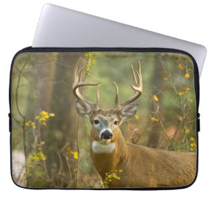 Whitetail Deer Buck   Whitefish, Montana Laptop Sleeve