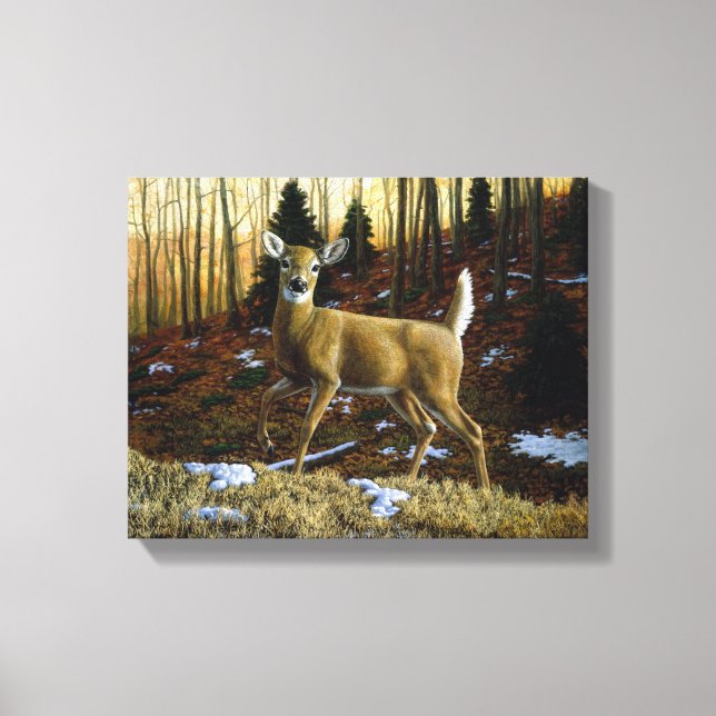 Whitetail Deer Doe in Autumn Forest Canvas Print (Front)