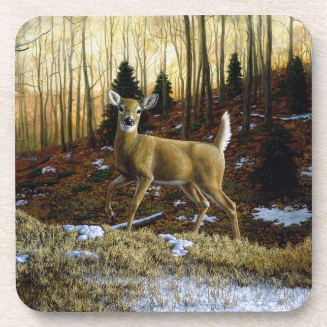 Whitetail Deer Doe in Autumn Forest Coaster (Front)