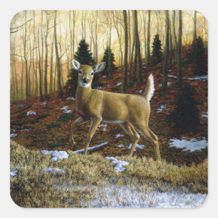 Whitetail Deer Doe in Autumn Forest Square Sticker