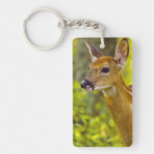Whitetail deer fawn in Whitefish, Montana, USA Keychain