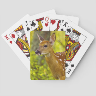 Whitetail deer fawn in Whitefish, Montana, USA Playing Cards