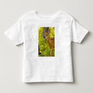 Whitetail deer fawn in Whitefish, Montana, USA Toddler T-shirt