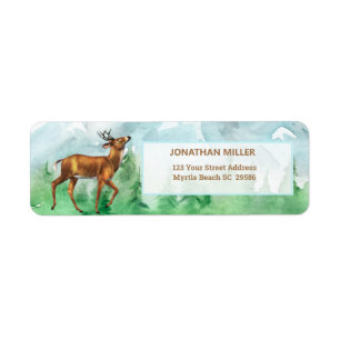 Whitetail Deer Forest Mountains Return Adresse