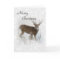 Whitetail deer