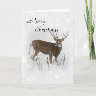 Whitetail deer holiday card