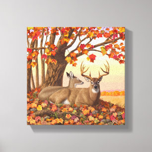 Whitetail Deer in Autumn New England Fall Colours Canvas Print