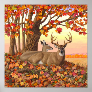 Whitetail Deer in Autumn New England Fall Colours Poster
