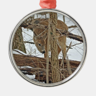 Whitetail Deer In Snow Metal Ornament