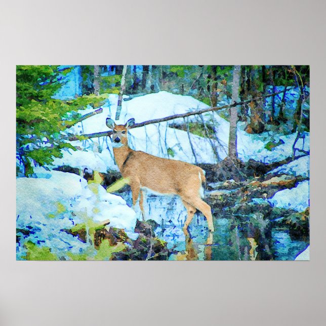 Whitetail Deer in Winter Snow Wildlife Watercolor Poster (Front)