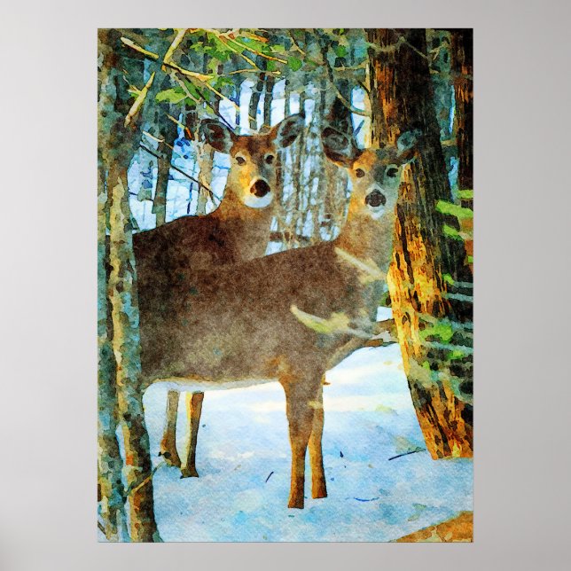 Whitetail Deer in Winter Snow Wildlife Watercolor Poster (Front)