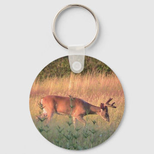 Whitetail Deer Keychain