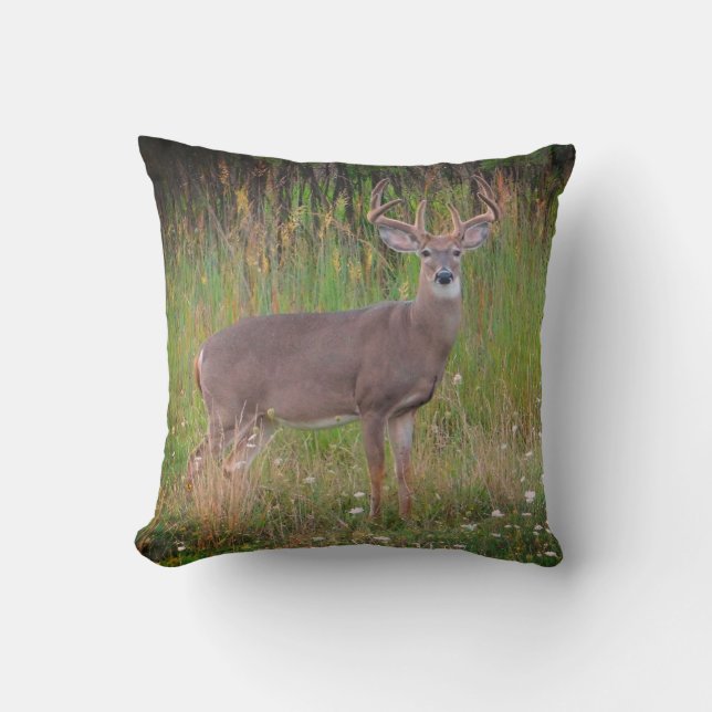 Whitetail Deer Portrait Pillow (Front)