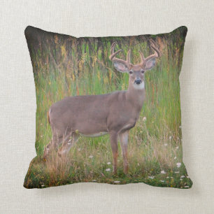 Whitetail Deer Portrait Pillow