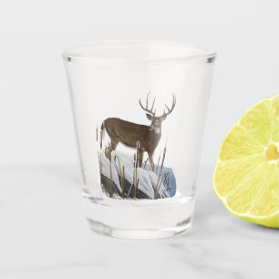 Whitetail Deer Shot Glass