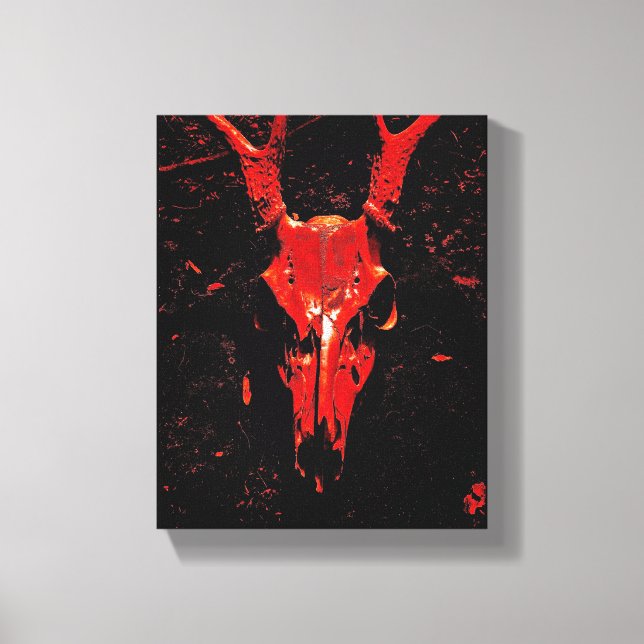 Whitetail Deer Skull Canvas Print (Front)