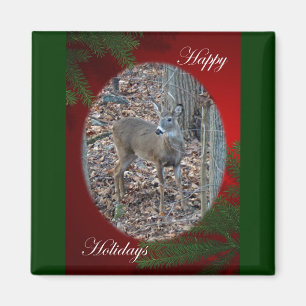 Whitetail Deer Spike Buck Happy Holidays Series Magnet