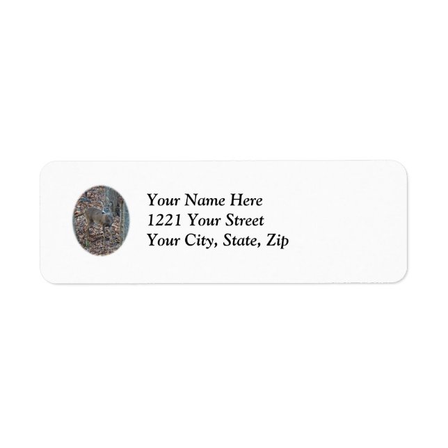 Whitetail Deer Spike Buck Series Address Label (Front)