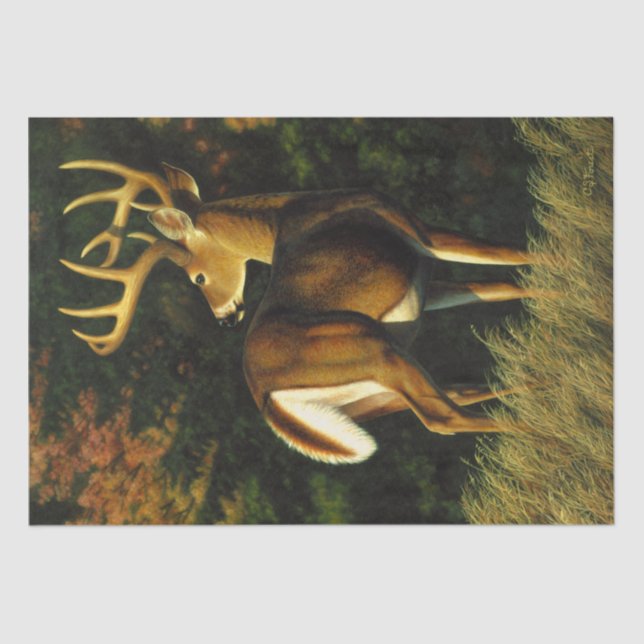 Whitetail Deer Trophy Buck Hunting Tissue Paper (Front)