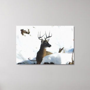 Whitetail Deer Winter Antlers Canvas Print