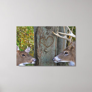 Whitetail Deer with heart on tree Canvas Print