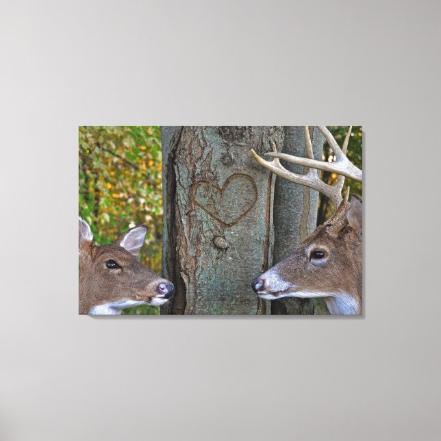 Whitetail Deer with heart on tree Canvas Print (Front)