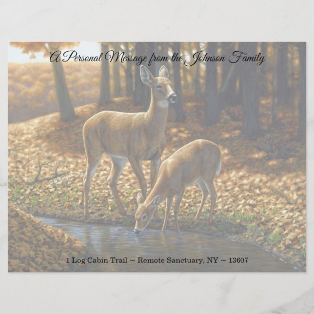 Whitetail Doe and Fawn Drinking from a Stream Lett Letterhead (Front)