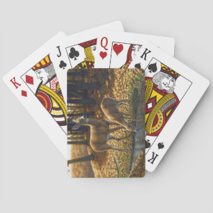 Whitetail Doe and Fawn Drinking from a Stream Playing Cards