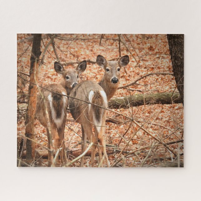 Whitetail Doe and her Fawn in the autumn Woods Jigsaw Puzzle (Horizontal)