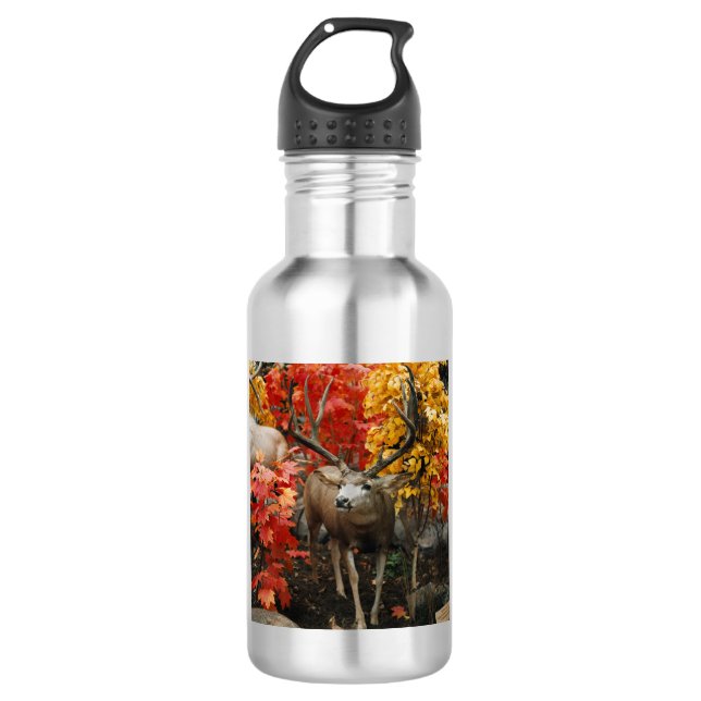 Whitetail En Automne Bouteille D'Eau En Aluminium (Devant)