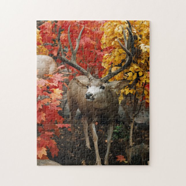 Whitetail In Autumn Jigsaw Puzzle (Vertical)